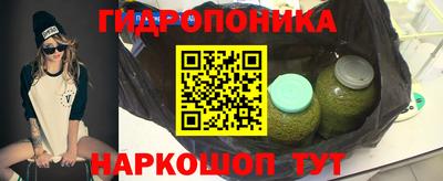 твердый Лесосибирск